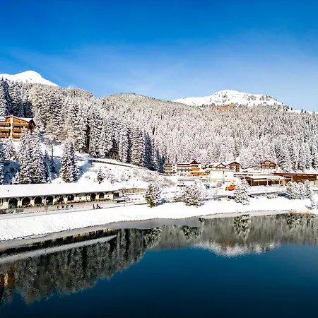 シャレー Methfessel By *